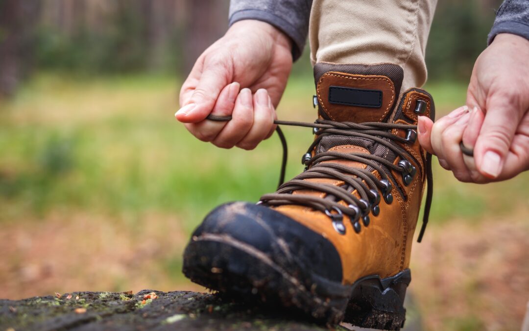 Stonehouse Walking Festival 2026